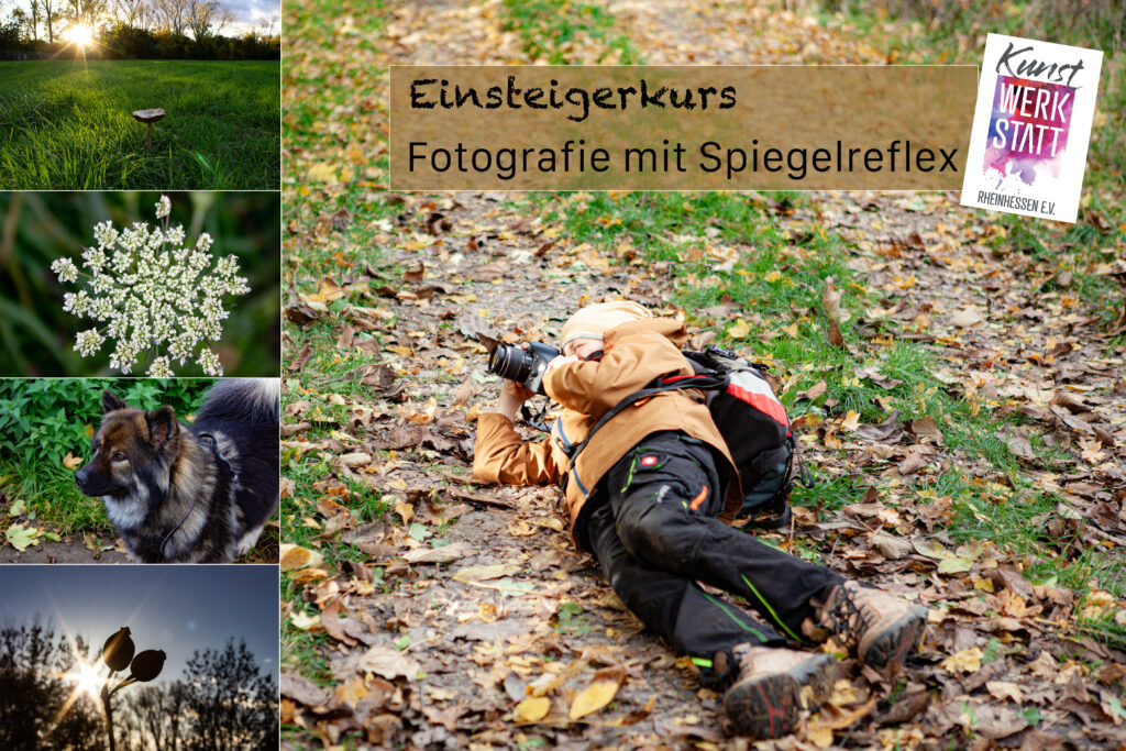 Spiegelreflex Workshop für Beginner