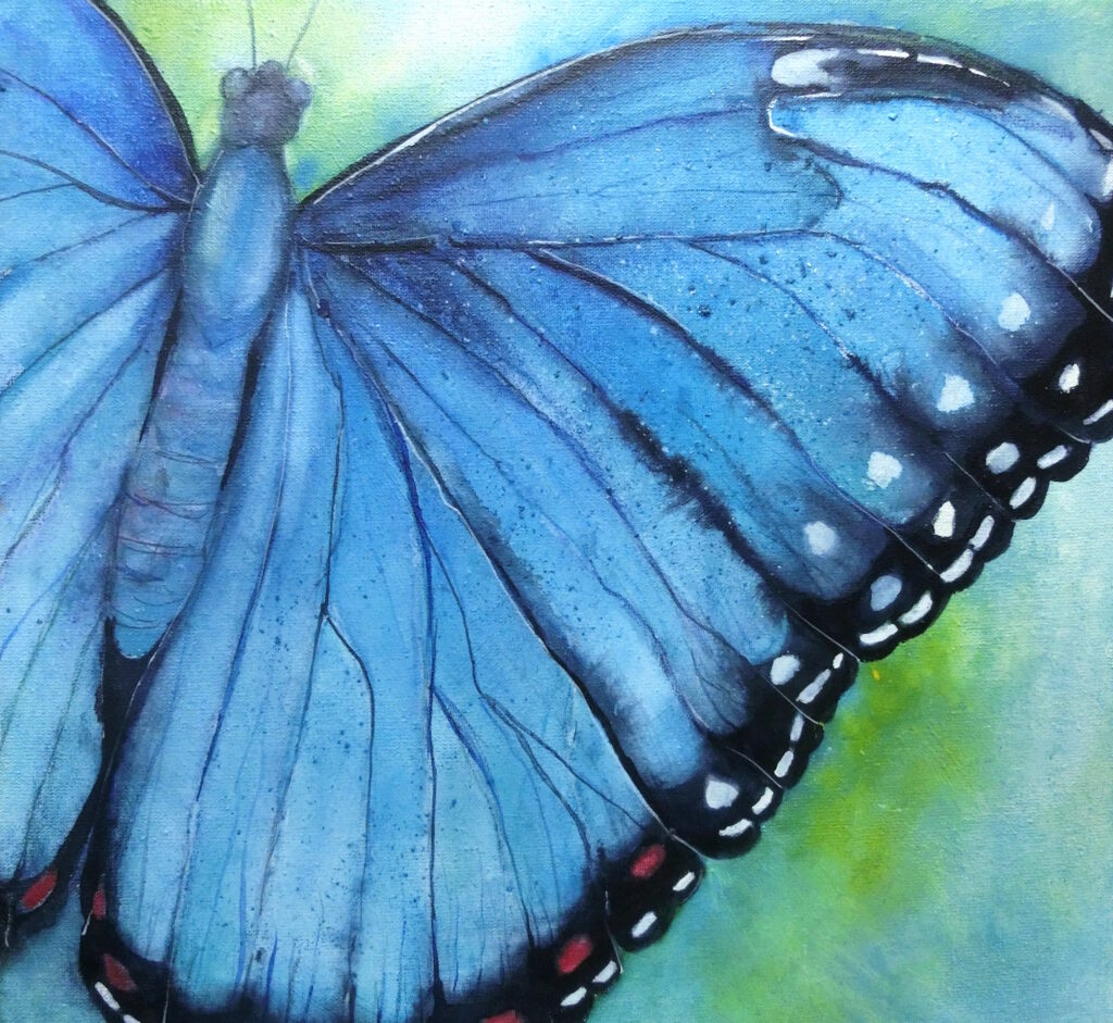 Farbzauber im Schmetterlingsgarten, Aquarell, Ferienkurs für Kinder/Jugendliche, ab 10 Jahren