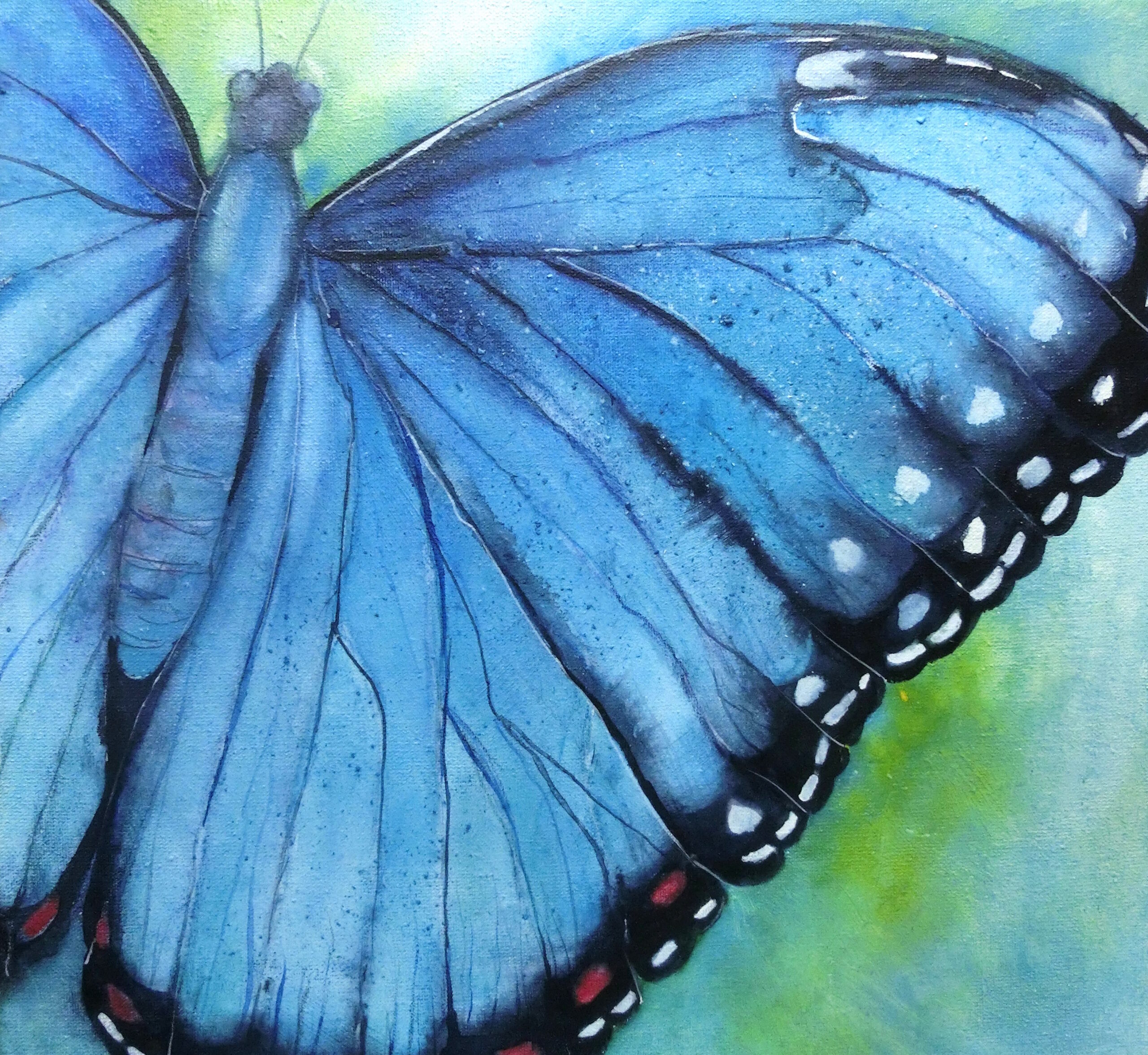 Farbzauber im Schmetterlingsgarten, Aquarell, Ferienkurs für Kinder/Jugendliche, ab 10 Jahren