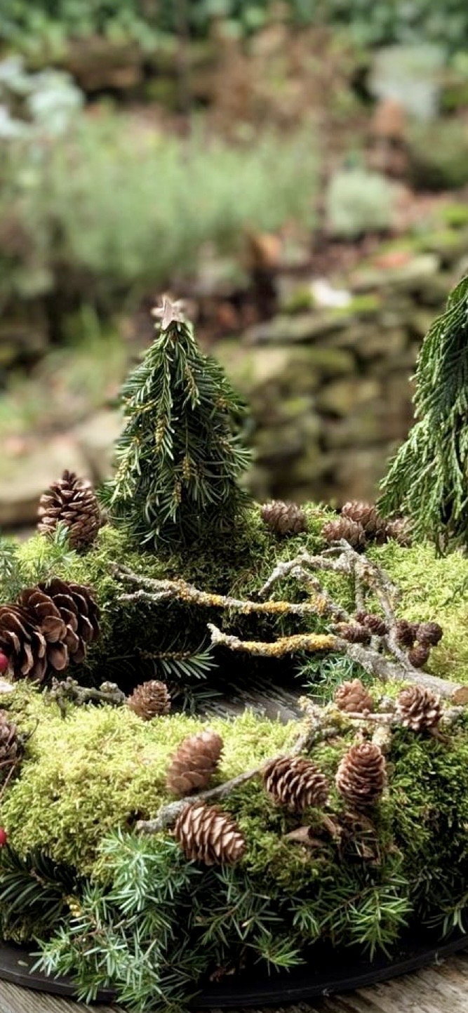 Adventsfloristik